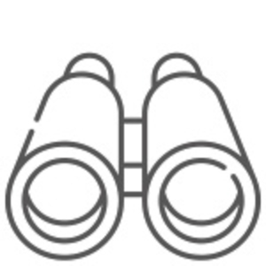 Ueber-uns-Icon-Vision.jpg