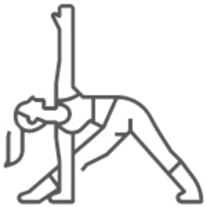 Kurse-Icon-Ladyfit.jpg
